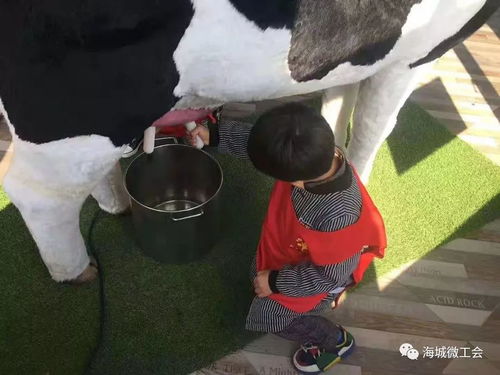 蛋糕diy 牧场参观 挤奶模拟 菊花采摘 有机午餐 这个周末,放下手机来佳鑫牧业陪孩子嗨